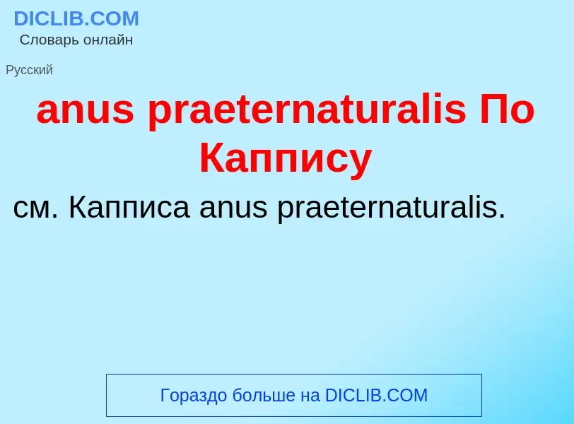 Wat is anus praeternaturalis По Каппису - definition