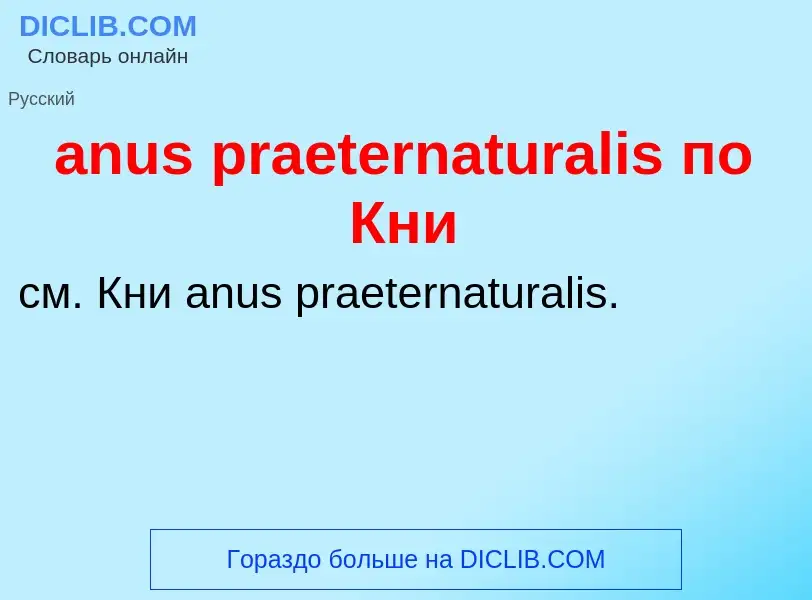 Was ist anus praeternaturalis по Кни - Definition