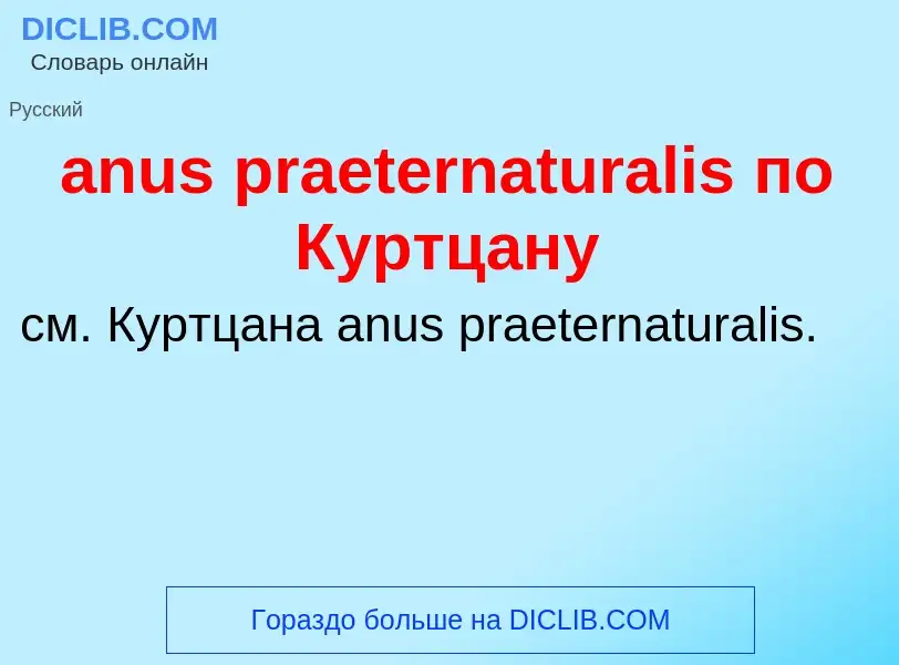 What is anus praeternaturalis по Куртцану - meaning and definition