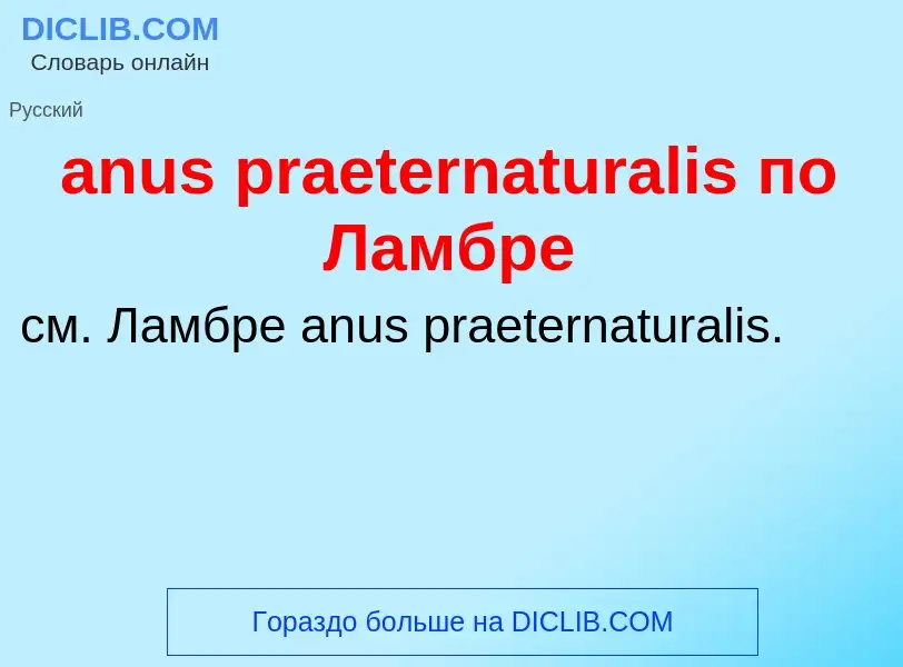 Was ist anus praeternaturalis по Ламбре - Definition