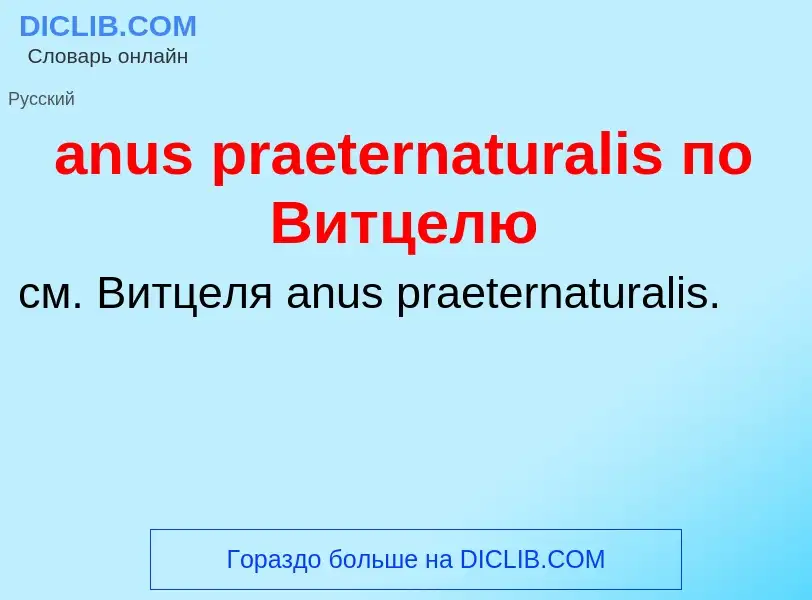 Che cos'è anus praeternaturalis по Витцелю - definizione