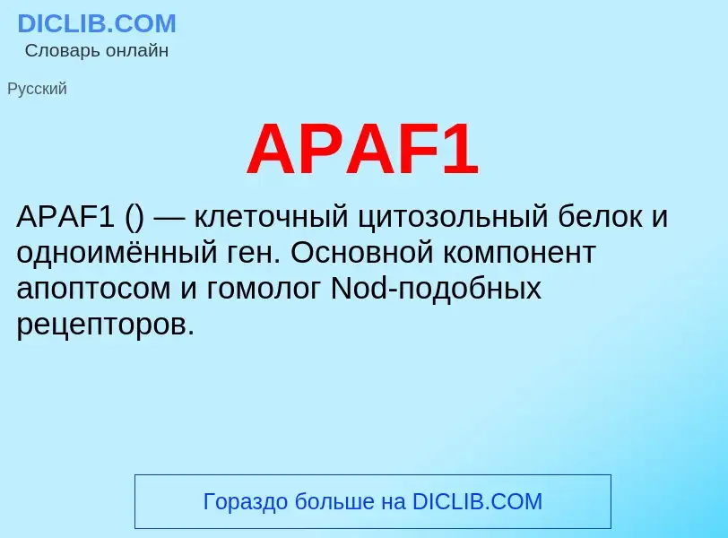 What is APAF1 - definition