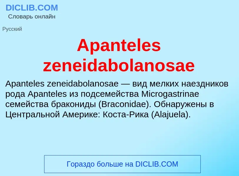 Τι είναι Apanteles zeneidabolanosae - ορισμός