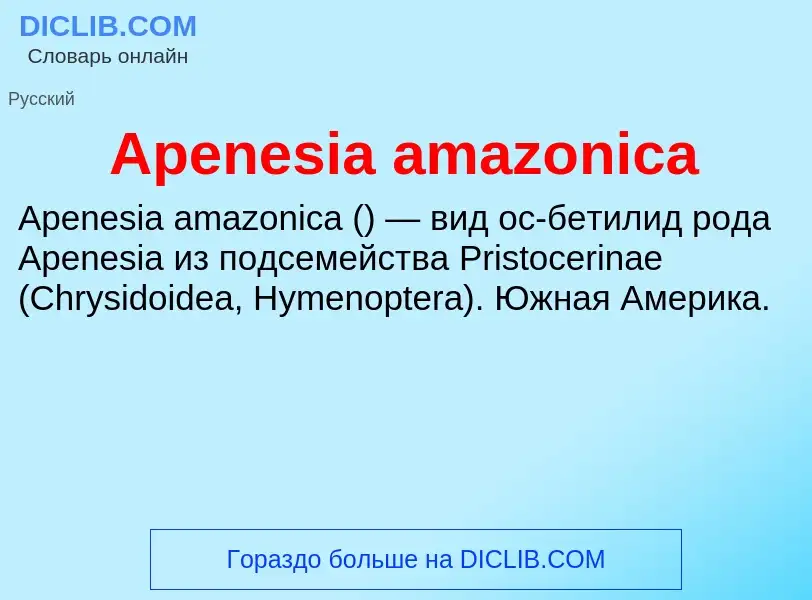 Τι είναι Apenesia amazonica - ορισμός