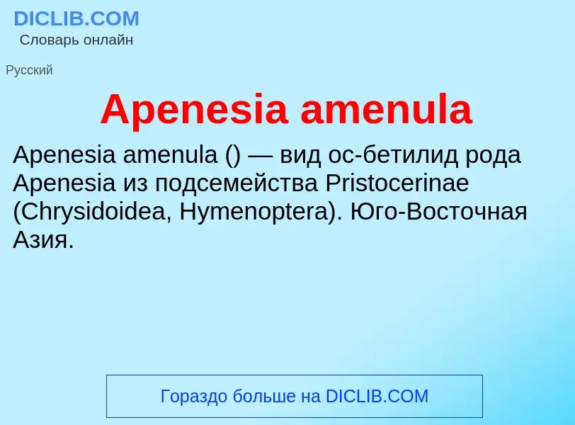 Τι είναι Apenesia amenula - ορισμός