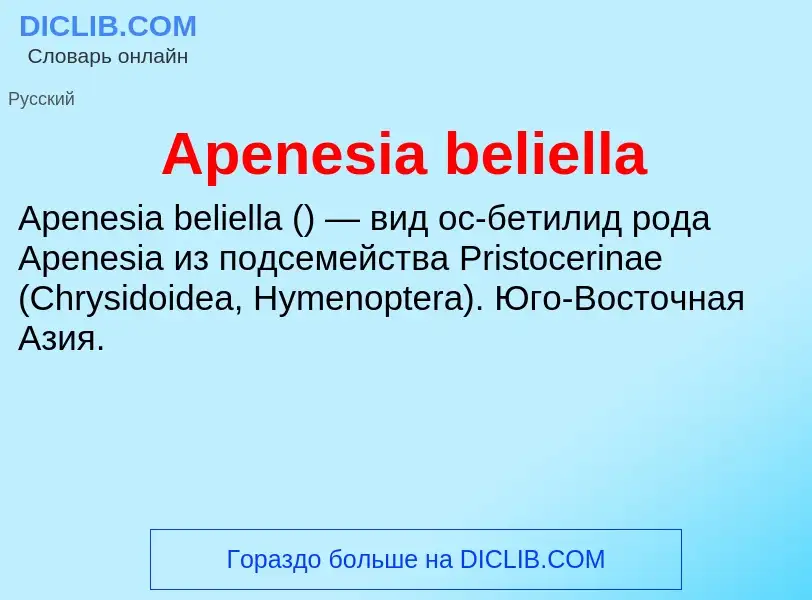 Τι είναι Apenesia beliella - ορισμός