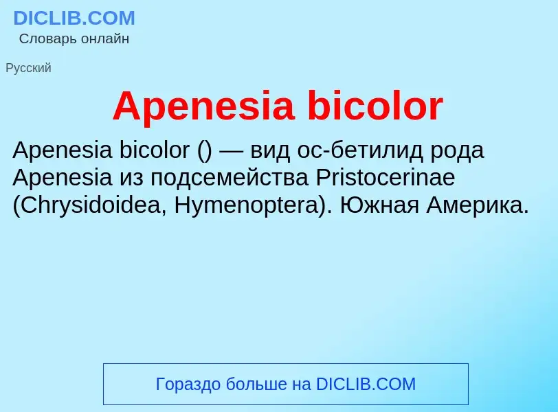 Τι είναι Apenesia bicolor - ορισμός