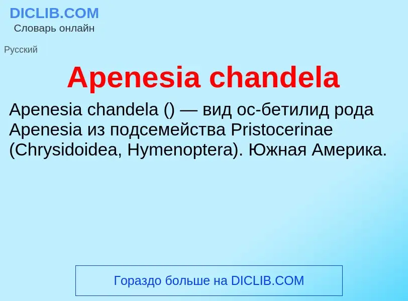 Τι είναι Apenesia chandela - ορισμός