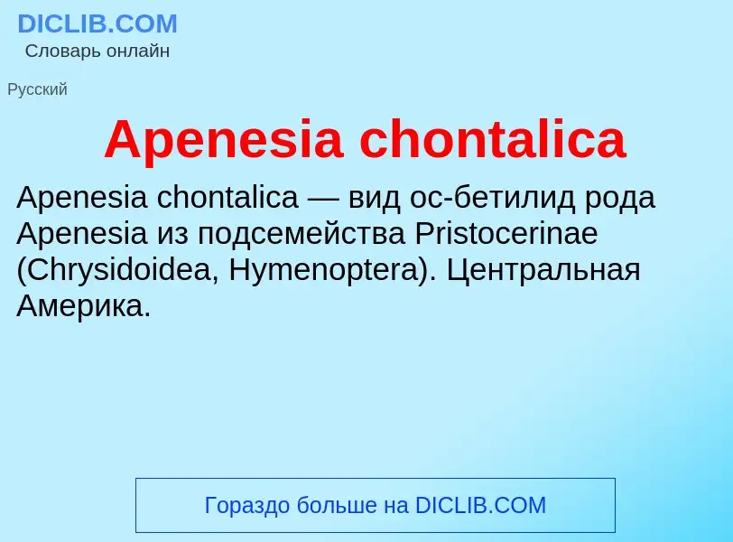 Τι είναι Apenesia chontalica - ορισμός