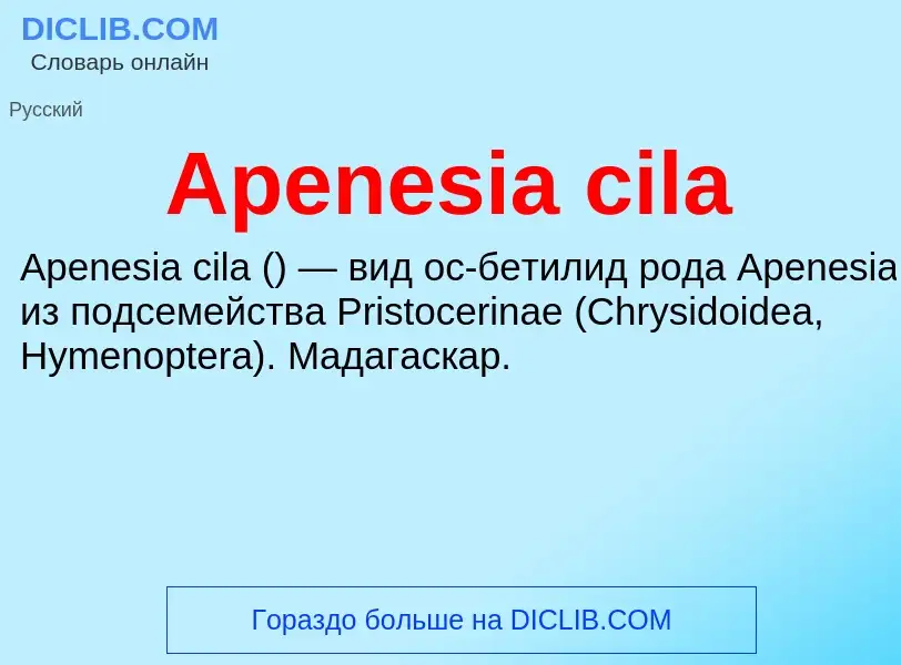 Τι είναι Apenesia cila - ορισμός