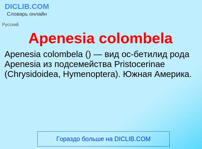 Τι είναι Apenesia colombela - ορισμός