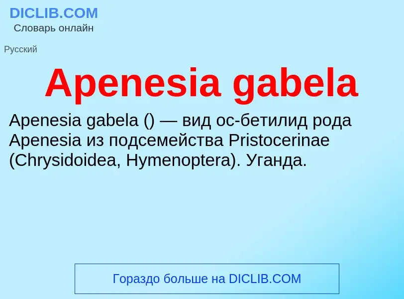 Τι είναι Apenesia gabela - ορισμός