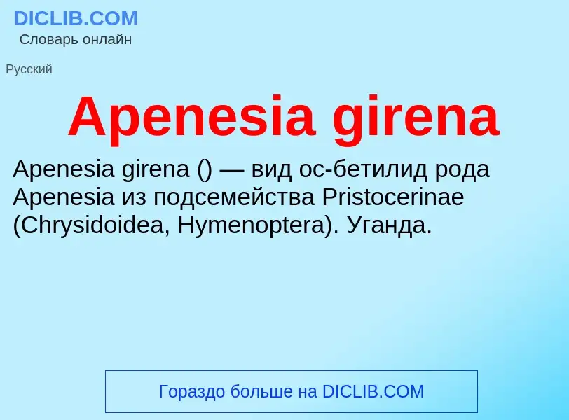 Τι είναι Apenesia girena - ορισμός