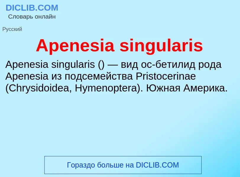 Τι είναι Apenesia singularis - ορισμός