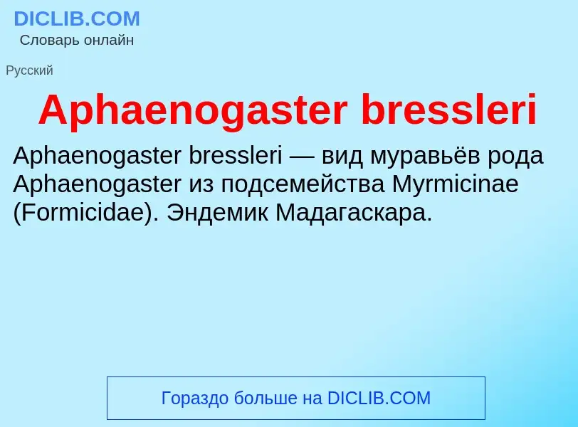 Τι είναι Aphaenogaster bressleri - ορισμός