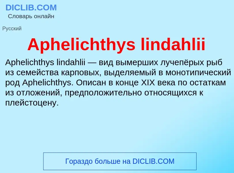 Τι είναι Aphelichthys lindahlii - ορισμός