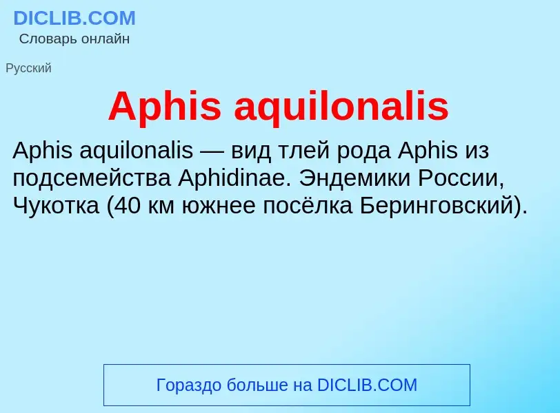 Τι είναι Aphis aquilonalis - ορισμός