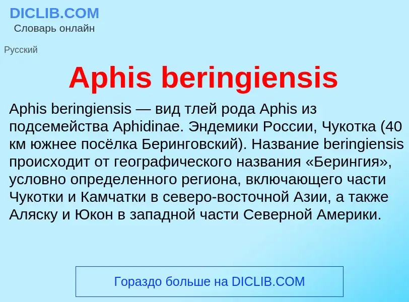 Τι είναι Aphis beringiensis - ορισμός