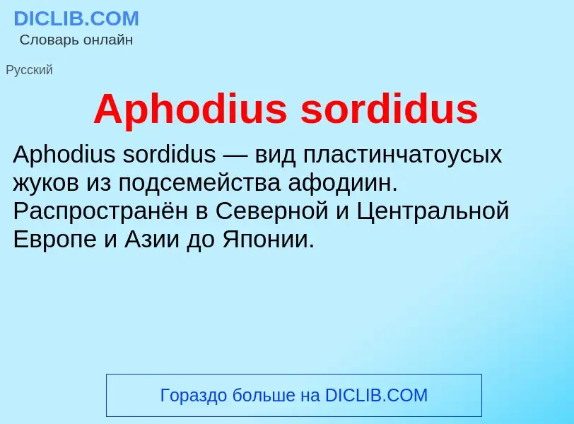 Τι είναι Aphodius sordidus - ορισμός