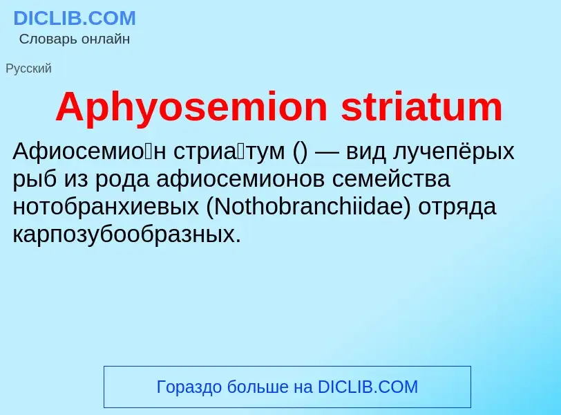 Τι είναι Aphyosemion striatum - ορισμός