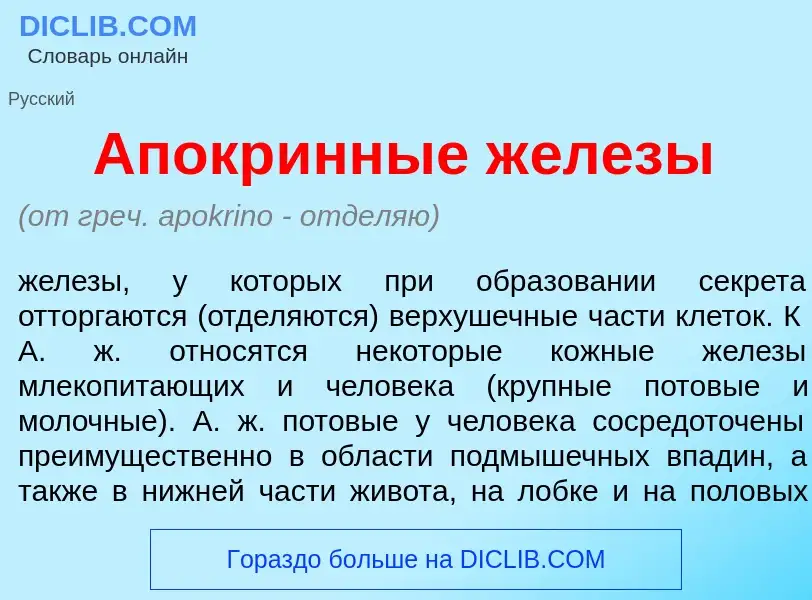 Wat is Апокр<font color="red">и</font>нные ж<font color="red">е</font>лезы - definition