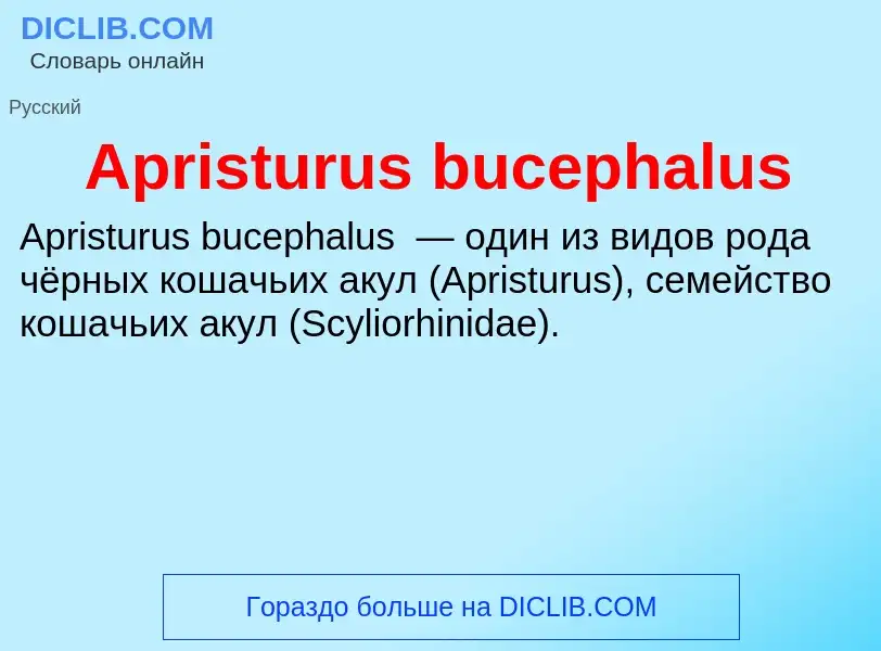 What is Apristurus bucephalus - definition