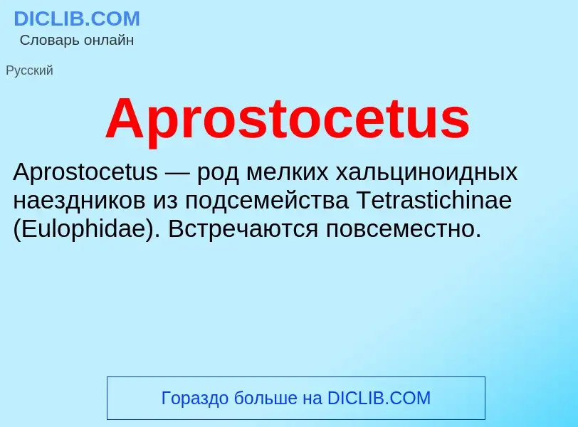 What is Aprostocetus - definition