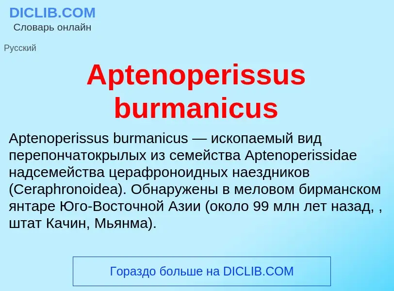 What is Aptenoperissus burmanicus - definition