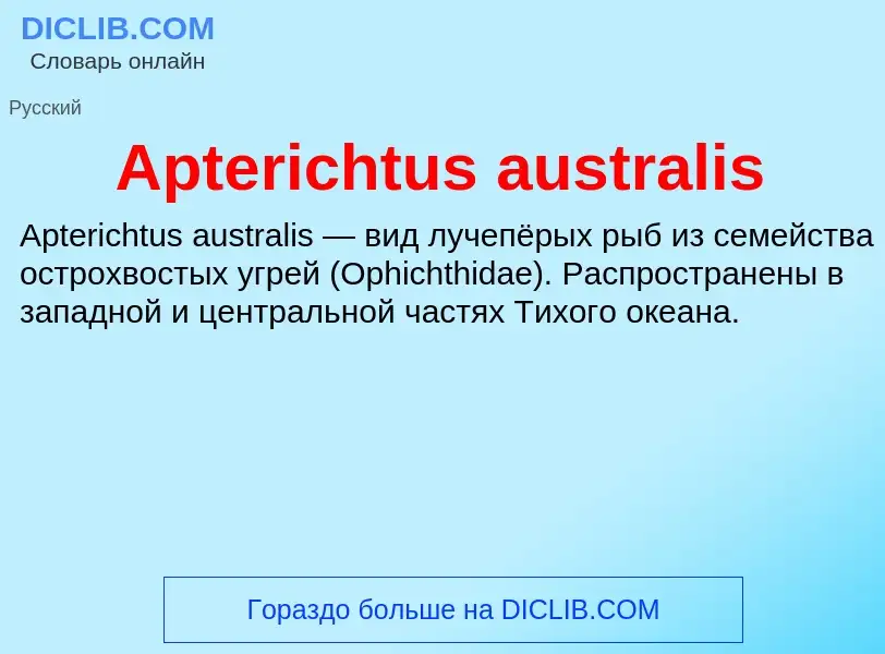 Τι είναι Apterichtus australis - ορισμός