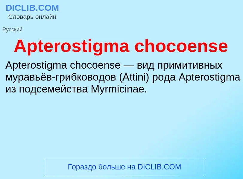 What is Apterostigma chocoense - definition