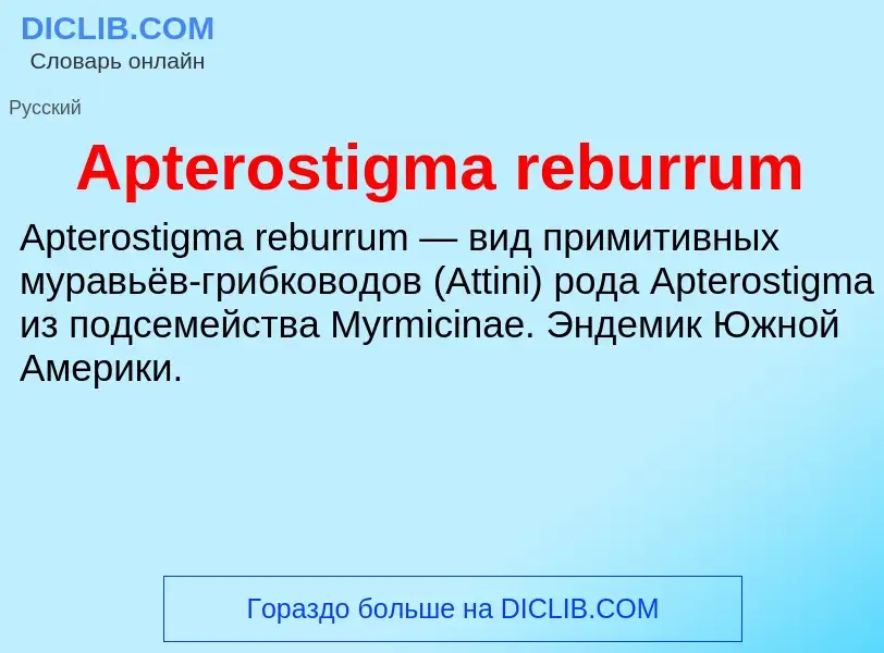 What is Apterostigma reburrum - definition