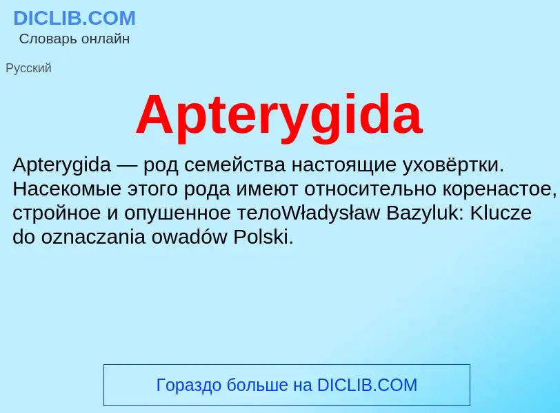 What is Apterygida - definition