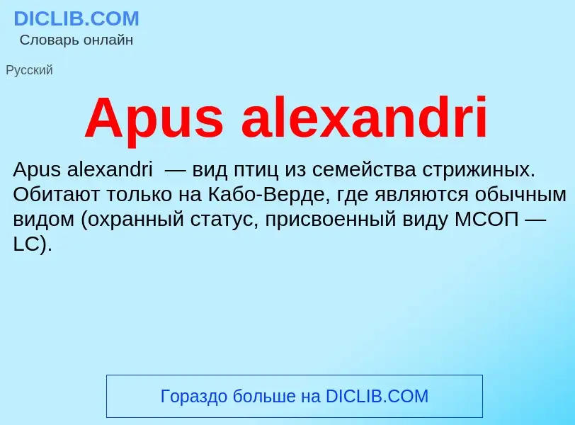 What is Apus alexandri - definition