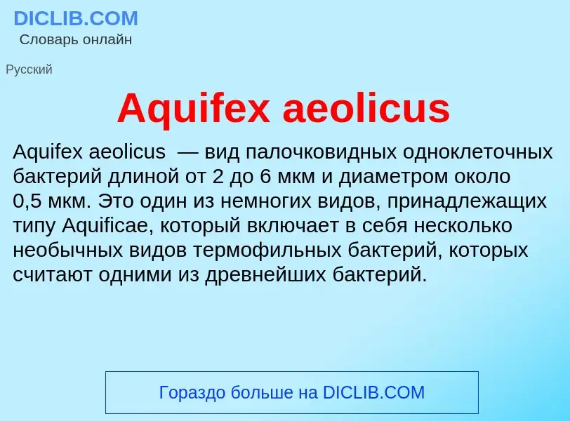 What is Aquifex aeolicus - definition