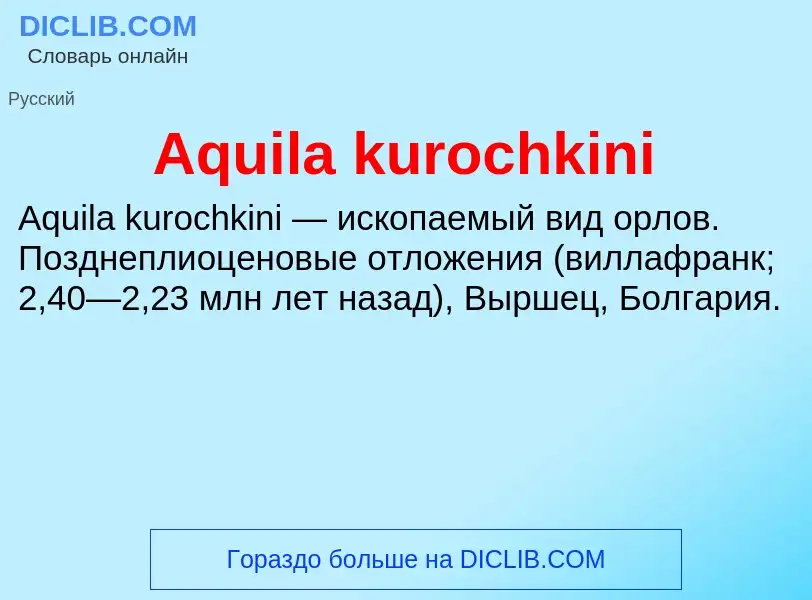 What is Aquila kurochkini - definition