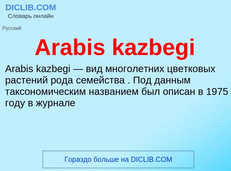 What is Arabis kazbegi - definition