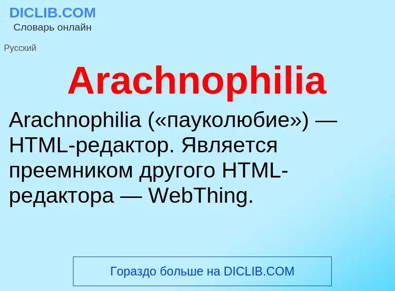 What is Arachnophilia - definition