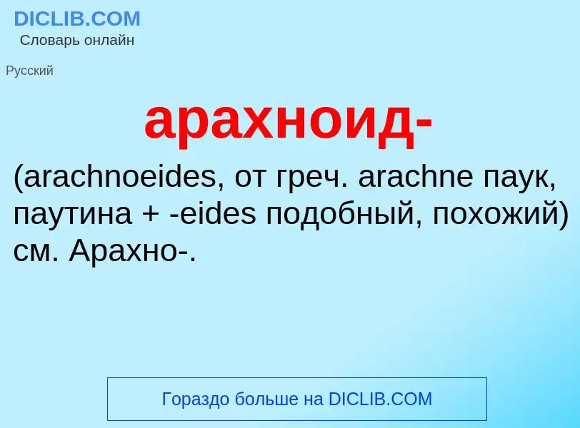 Che cos'è арахноид-  - definizione