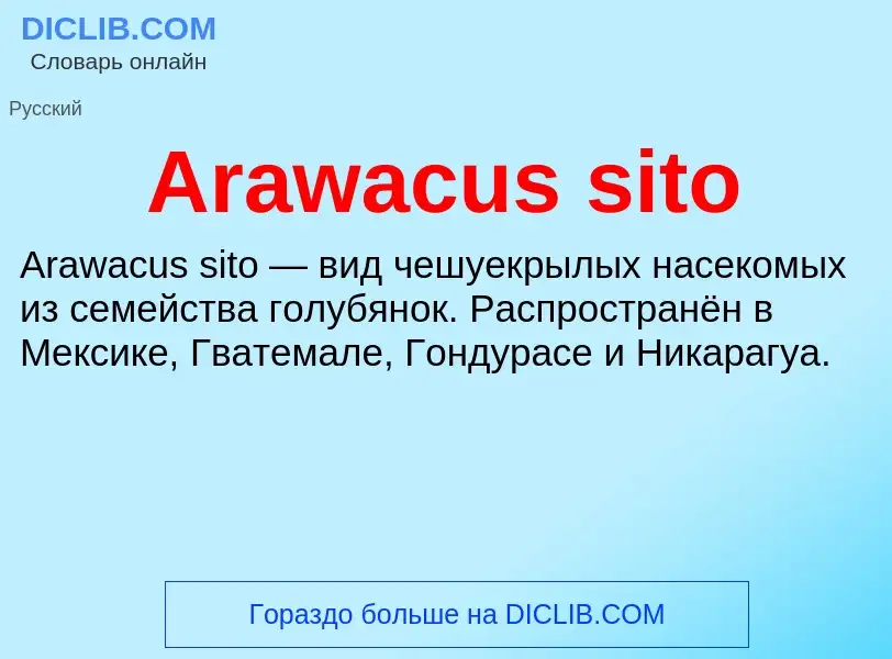 What is Arawacus sito - definition