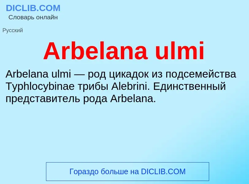 What is Arbelana ulmi - definition