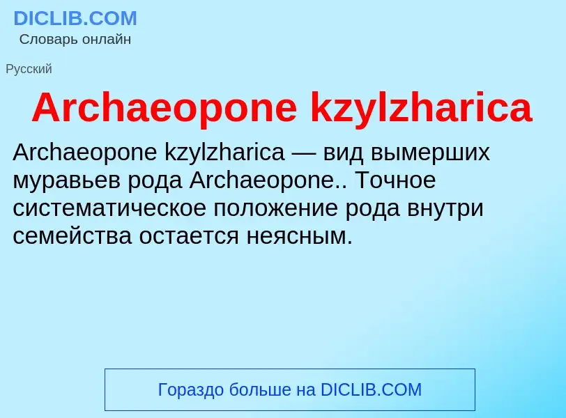 What is Archaeopone kzylzharica - definition