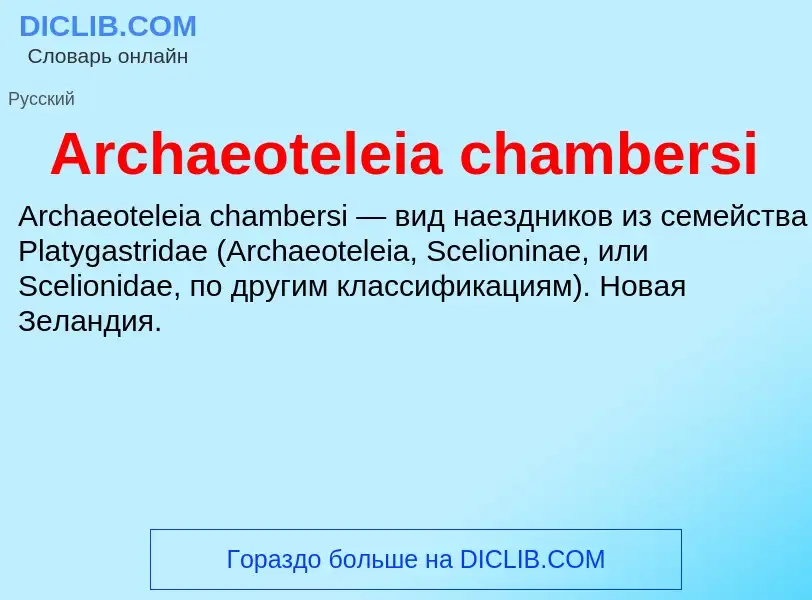 What is Archaeoteleia chambersi - definition