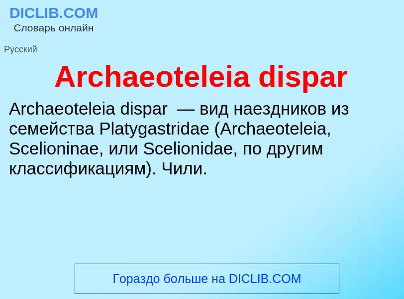 What is Archaeoteleia dispar - definition