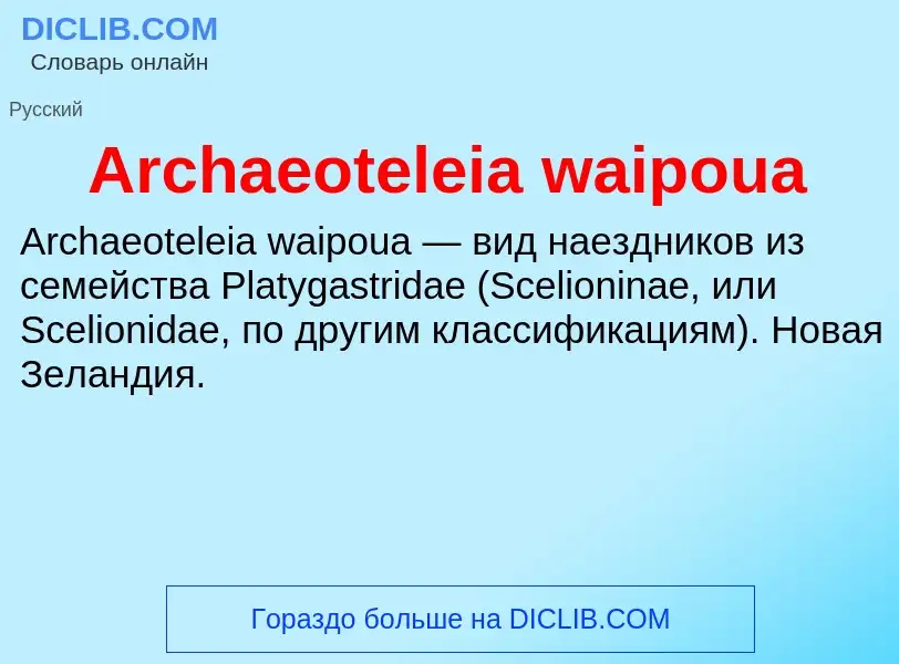 What is Archaeoteleia waipoua - definition