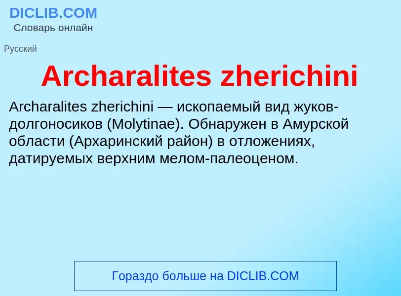 What is Archaralites zherichini - definition