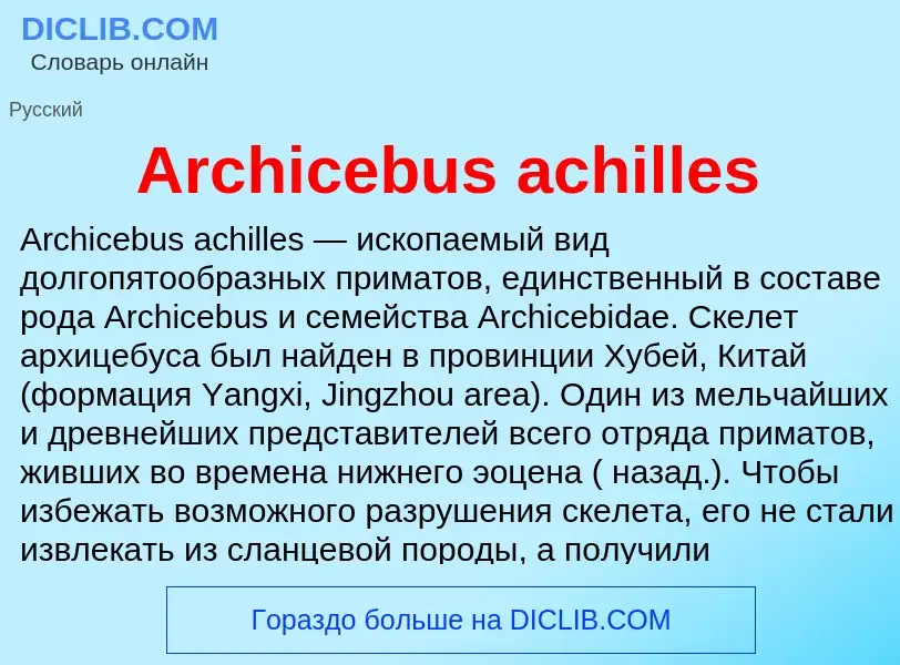 What is Archicebus achilles - definition