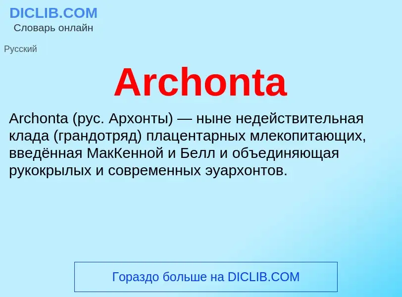 What is Archonta - definition