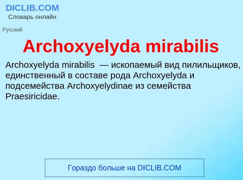 What is Archoxyelyda mirabilis - definition