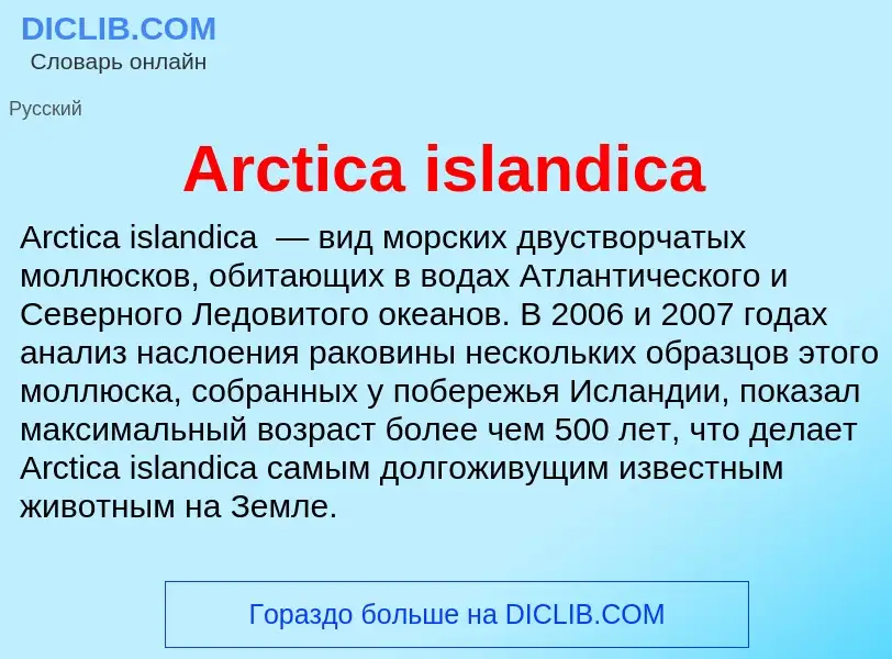 What is Arctica islandica - definition