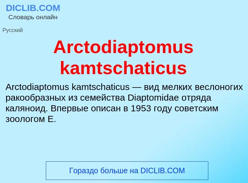 What is Arctodiaptomus kamtschaticus - definition